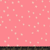 Starry in Watermelon