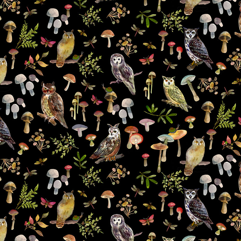 Wild Wonder: Owls and Mushrooms in Black