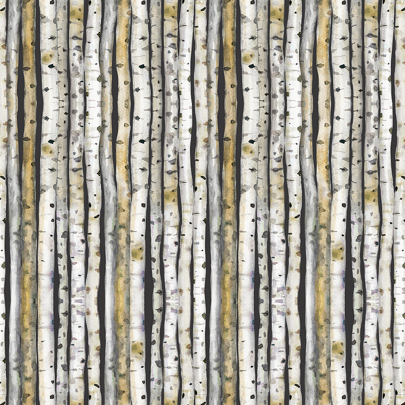 Wild Wonder: Birch Trees