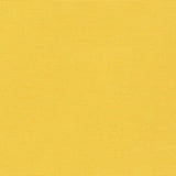 Big Sur Canvas - Yellow