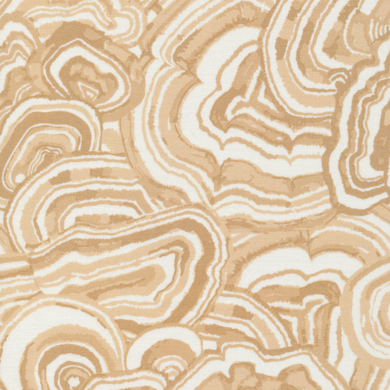 Into the Woods: Turkey Tails in Beige
