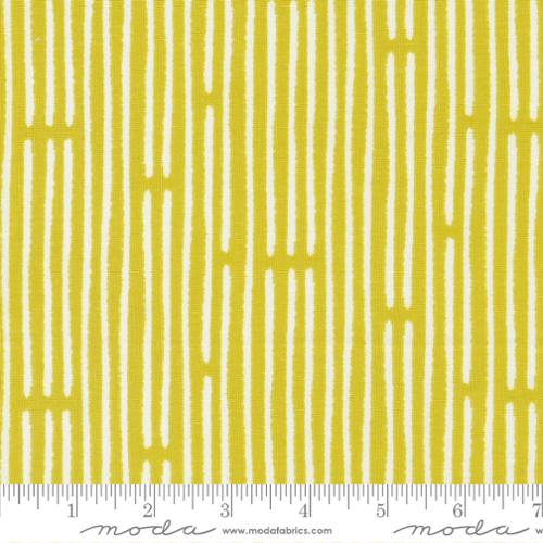 Delivered With Love: Rainbow Stripe in Citrine