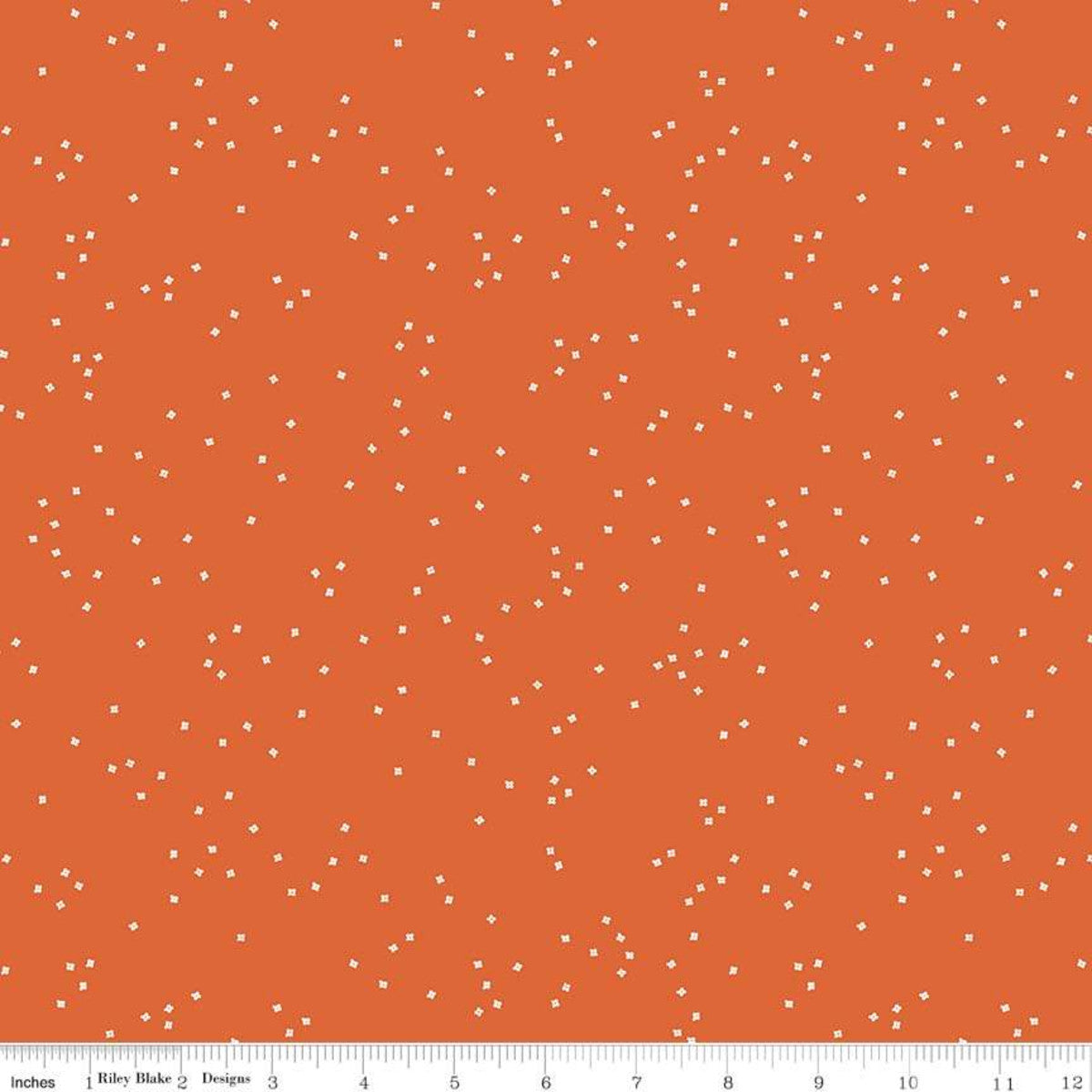 Blossom in Orange