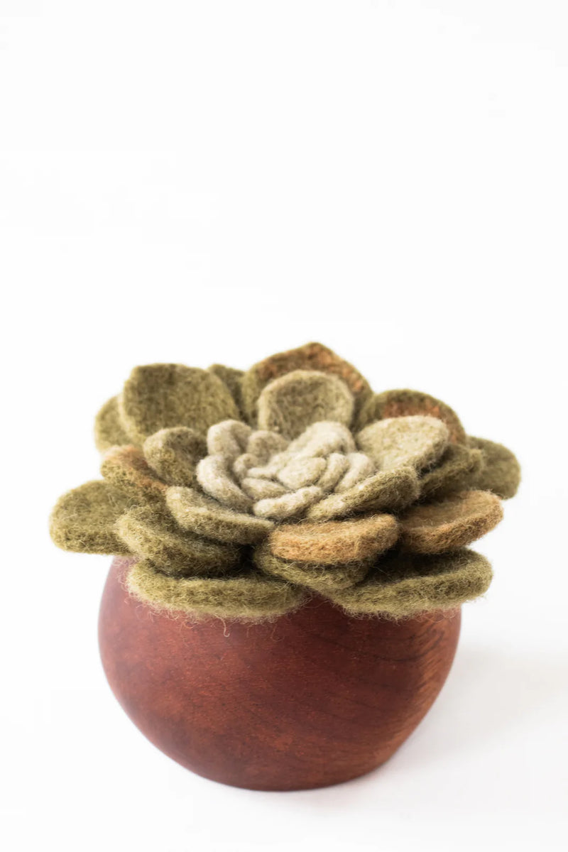 Handspun Hope: Kinigi Succulent
