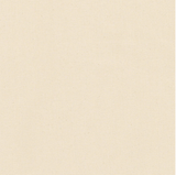 Big Sur Canvas - Unbleached