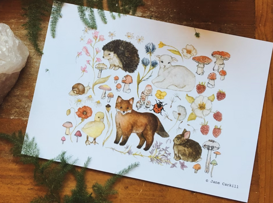 LambLittle: Mixed Meadow Illustration Print