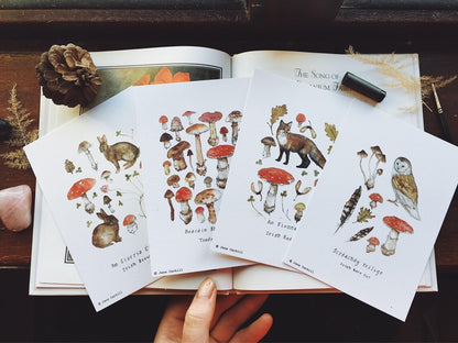 LambLittle: Floral & Fauna Mini Pack