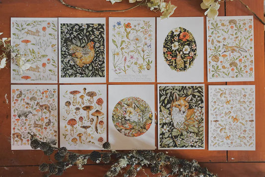 LambLittle: Woodland Postcard Set